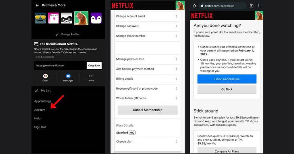 Cara Berhenti Langganan Netflix Melalui Provider Telkomsel Blibli Friends