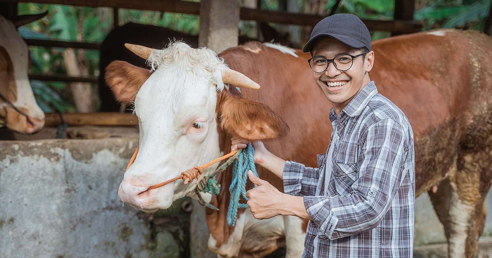 Tips Memilih Hewan Kurban Yang Sesuai Syariat Jangan Salah Pilih