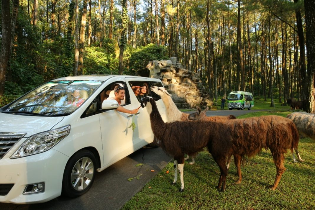 taman safari indonesia termasuk ke dalam contoh