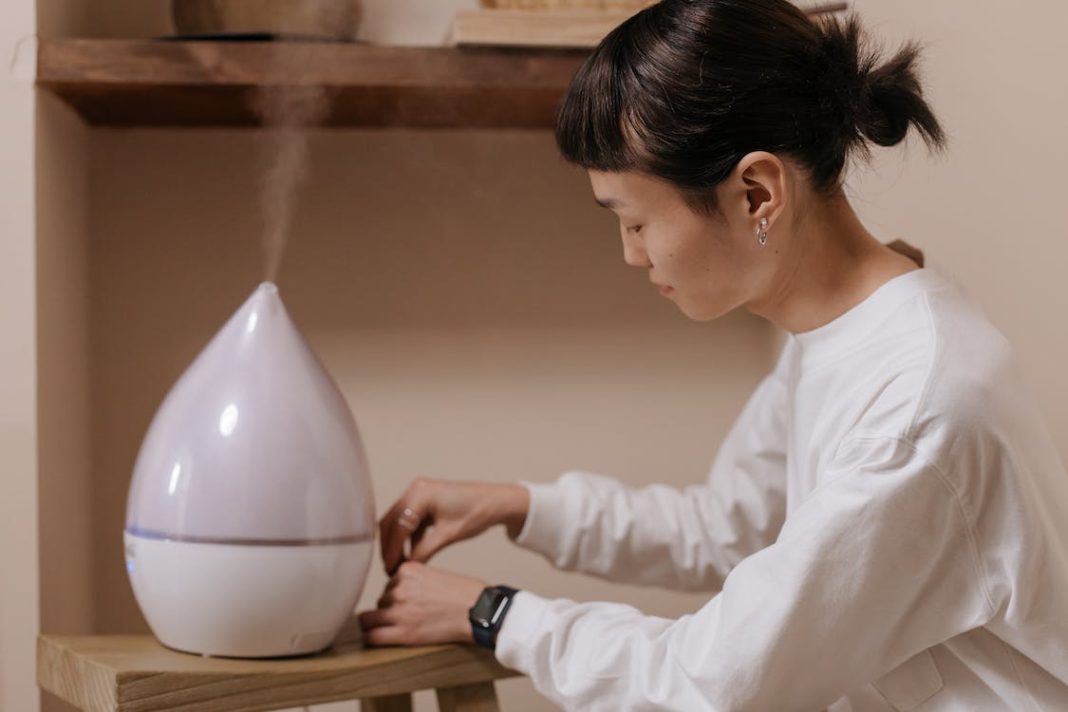 Perbedaan humidifier deals dan purifier