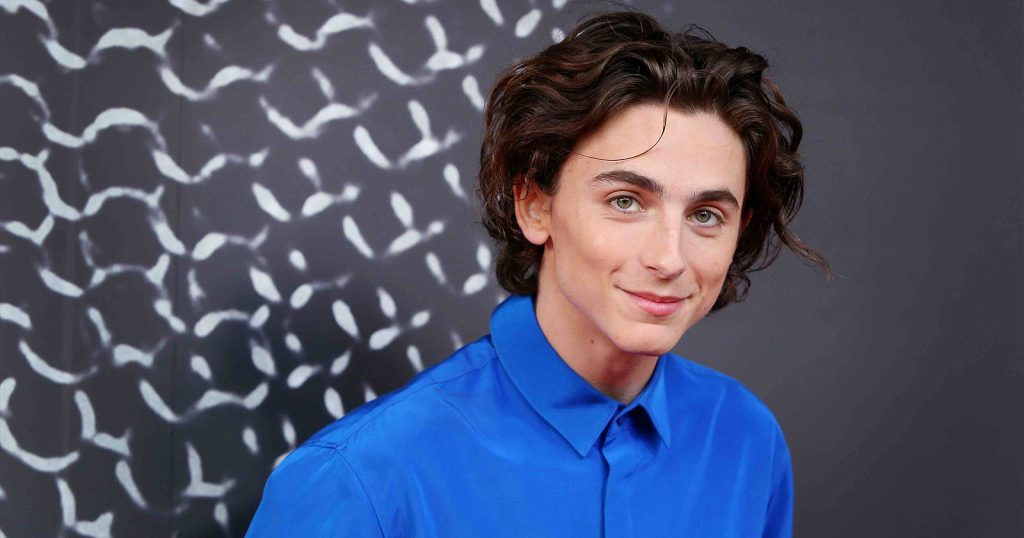 3 Rekomendasi Film Timothee Chalamet dan Fakta Menariknya - Blibli Friends