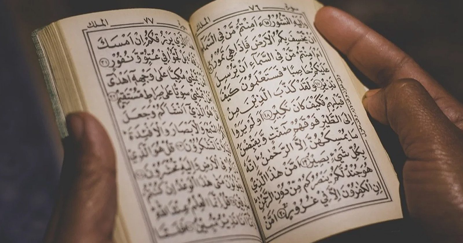 Keutamaan Surah Al Mulk Yang Dibaca Sebelum Tidur - Blibli Friends