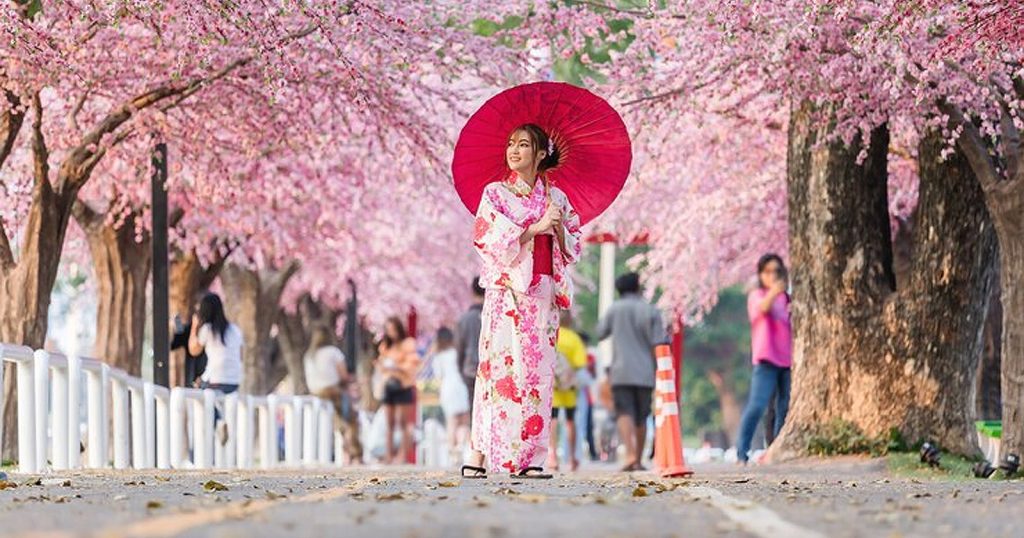 Tradisi Hanami, 5 Fakta Unik Yang Perlu Kamu Ketahui! - Blibli Friends