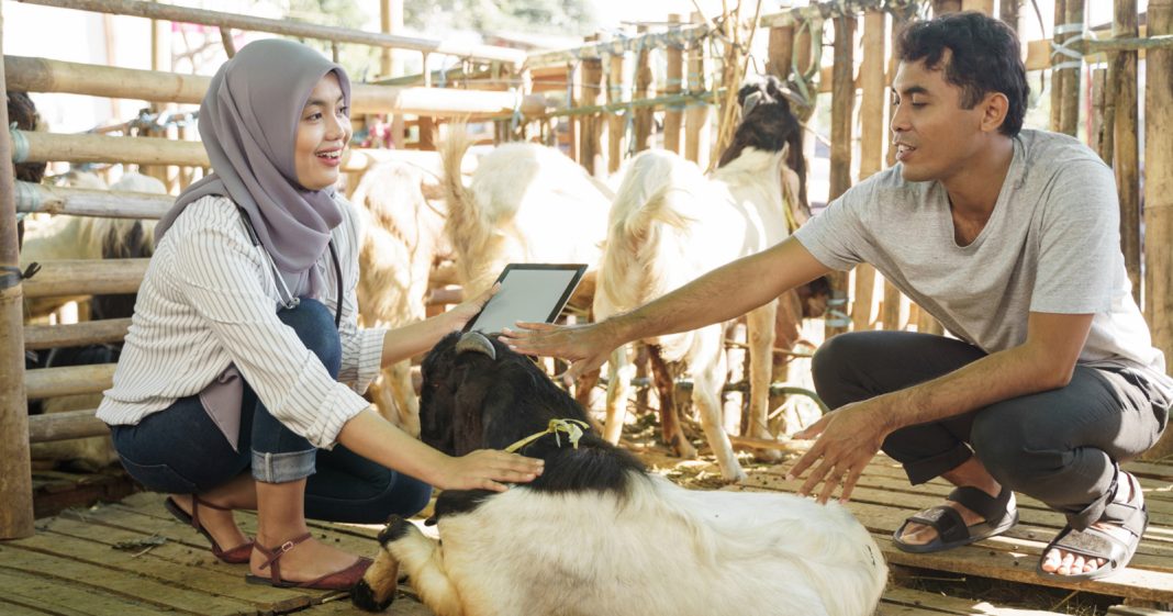 Doa Menyembelih Hewan Qurban, Hafalkan Sebelum Berkurban! - Blibli Friends